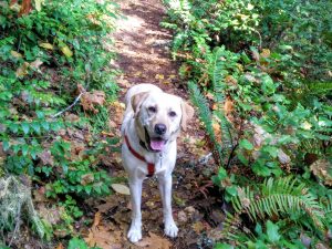 img_20161022_145937